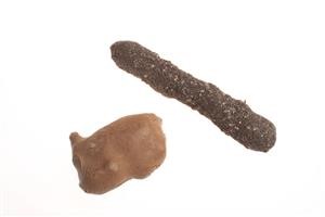 Spy on Someone Else's Phone for Free